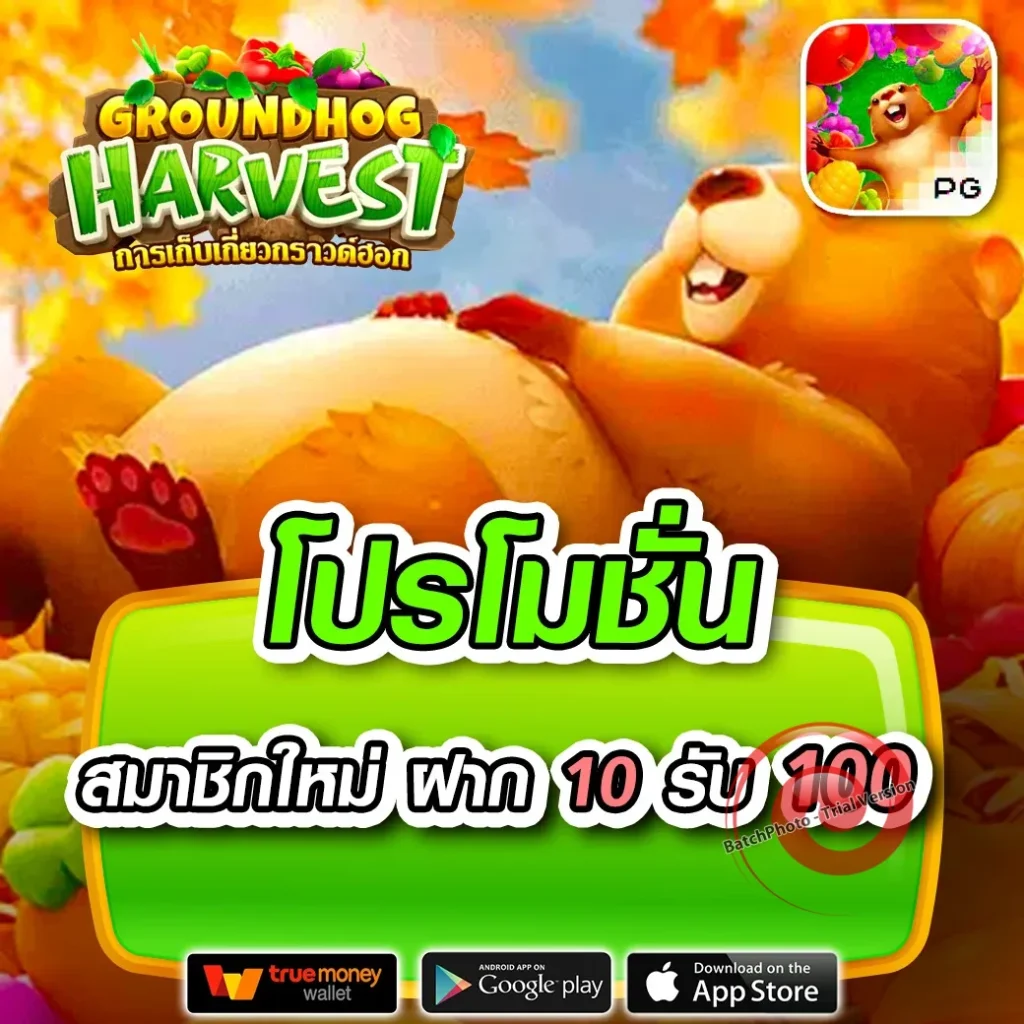 เล่นเกม tiger 88